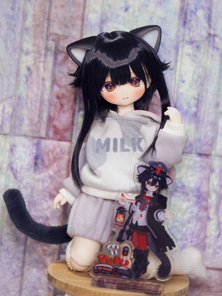 テリトルドール様 アートドール フェネコ 黒 テリトルドール様 フェネコ 黒 オッドアイ アートドール 【公式通販】