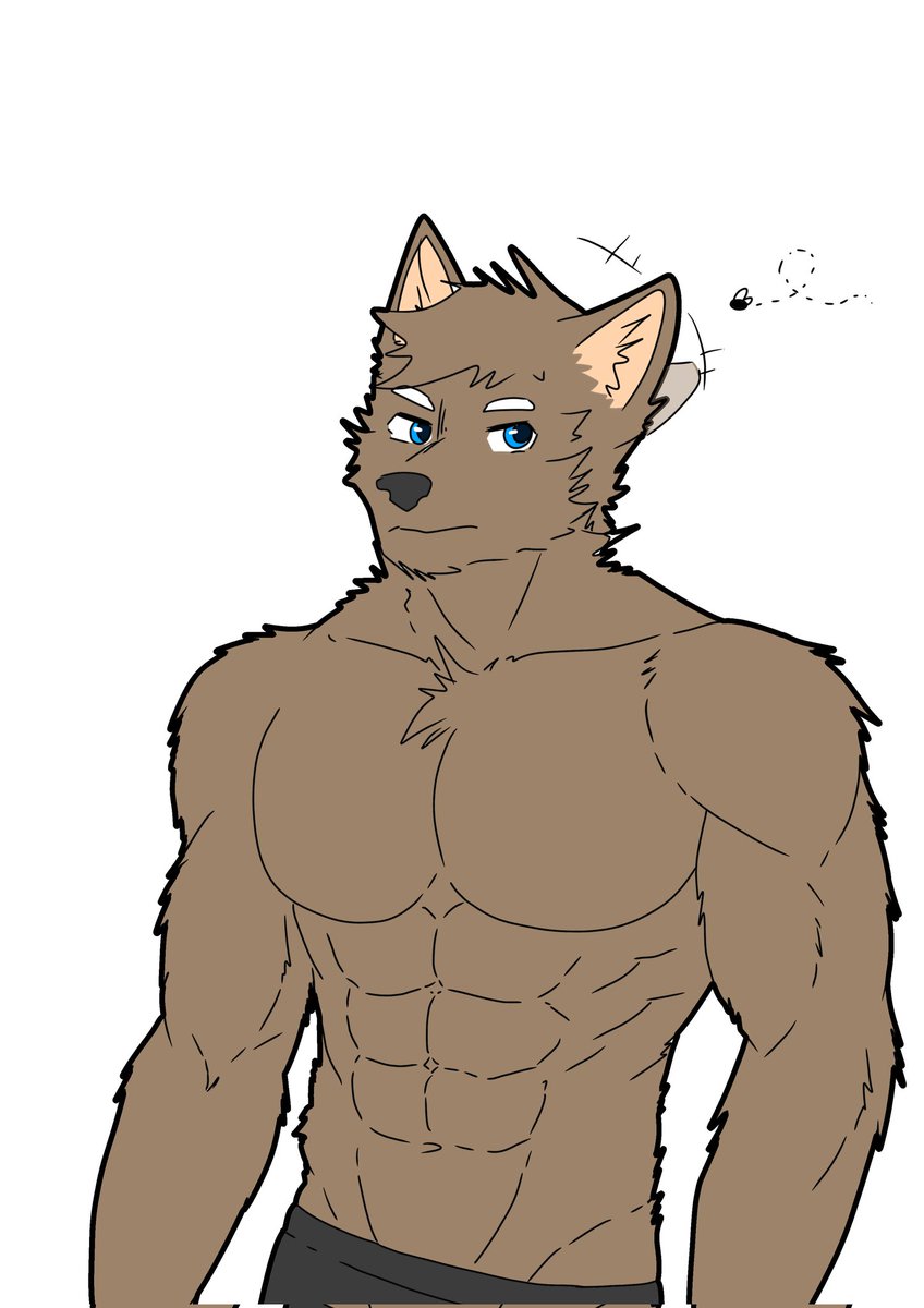 THE Wolf's Dorm tweet media