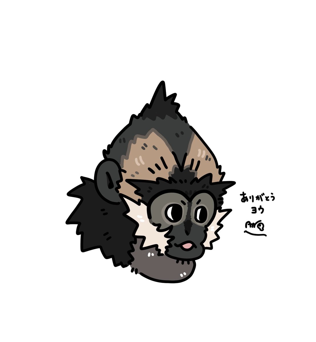 ほんとにありがとうございました。