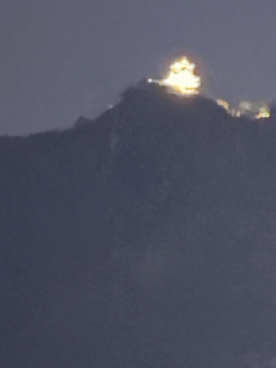 片山福十郎 tweet media