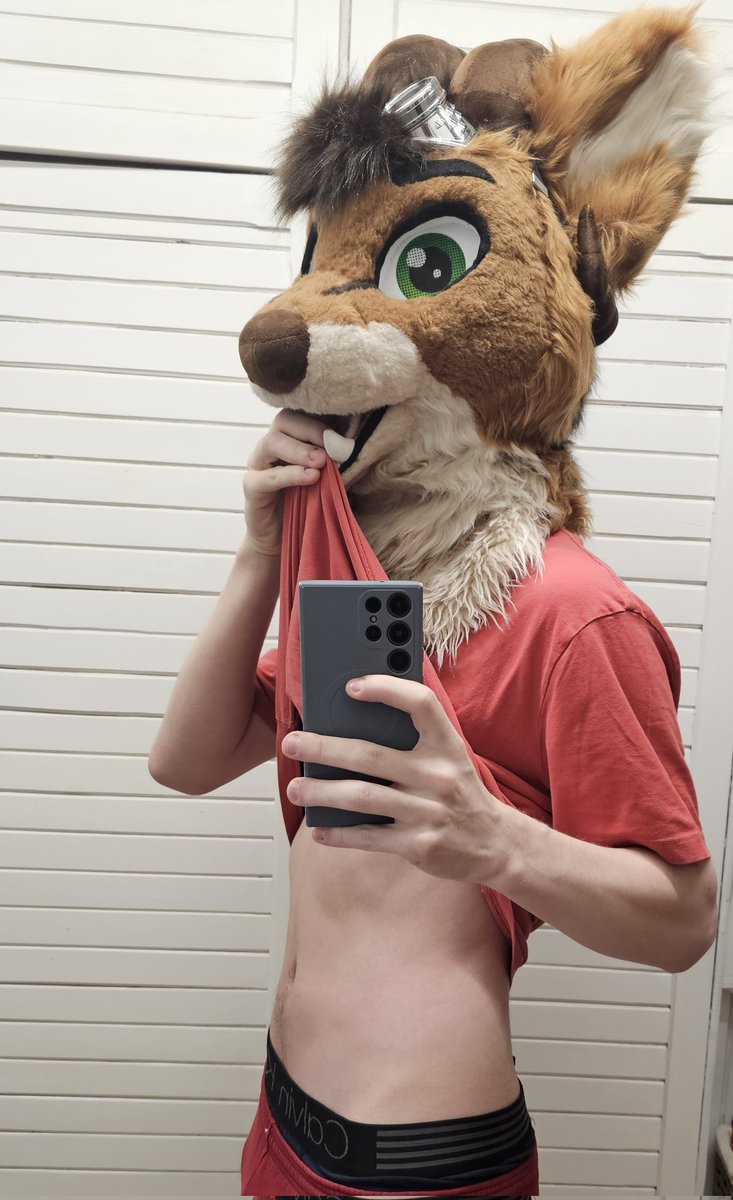 ReggieTheCaracal tweet media