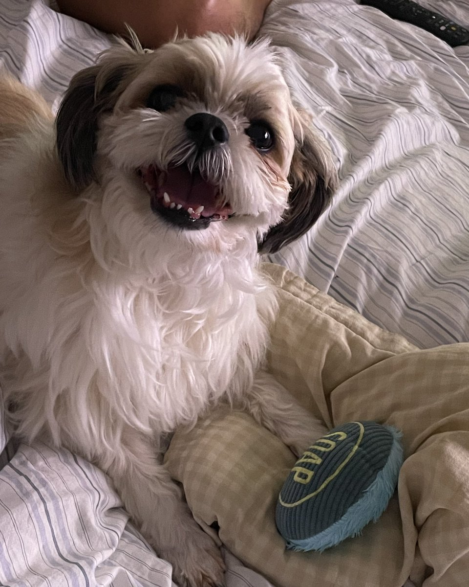 엄빠 출근 안 하는 날이라 우리 무쭈 신났다✌️