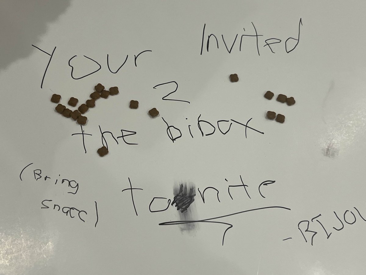 Koseki Bijou🗿holoEN tweet media