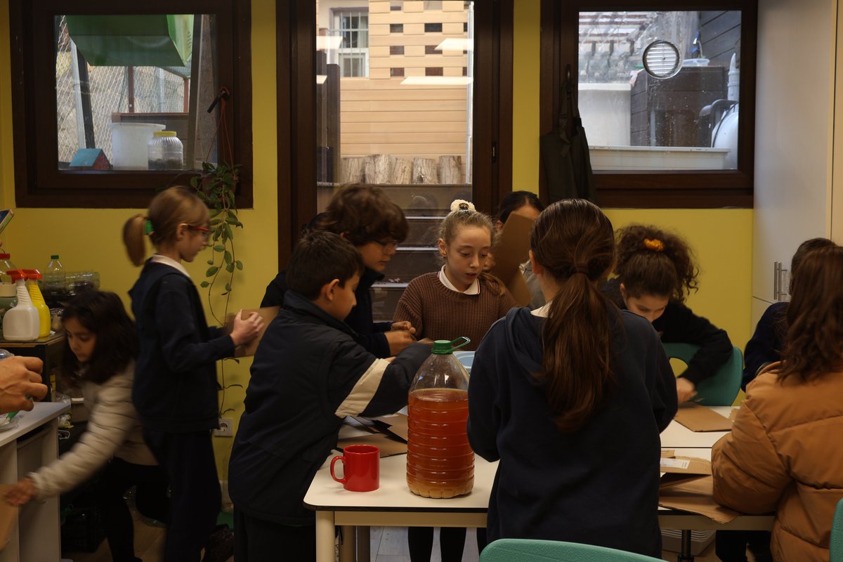 ecosySTEM Hub tweet media