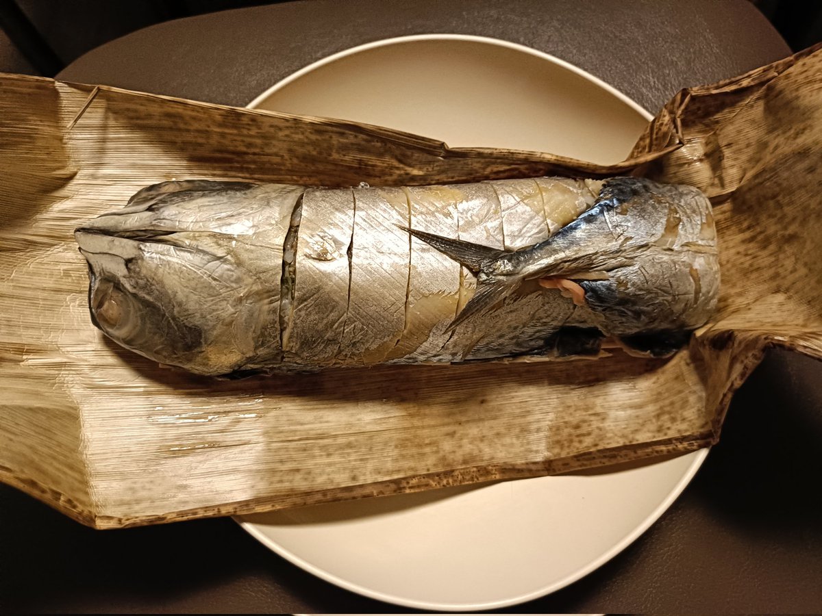 minerva_owl1's tweet image. 珍しく高知の駅弁が手に入るらしいと聞いて買ってきたのですが、高知の人はこれを列車内で食べるの・・・？この物量を？実質鯖じゃないですか。駅弁の概念を揺さぶる大自然の躍動を感じます。