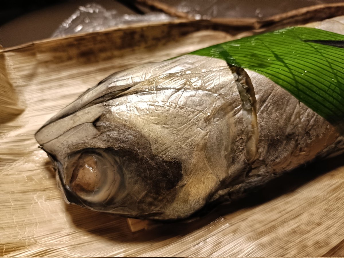 minerva_owl1's tweet image. 珍しく高知の駅弁が手に入るらしいと聞いて買ってきたのですが、高知の人はこれを列車内で食べるの・・・？この物量を？実質鯖じゃないですか。駅弁の概念を揺さぶる大自然の躍動を感じます。