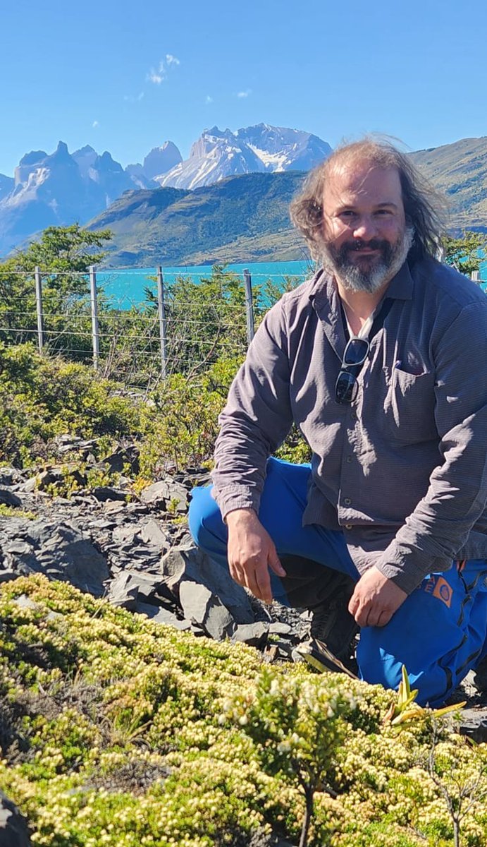 Instituto Milenio BASE tweet media