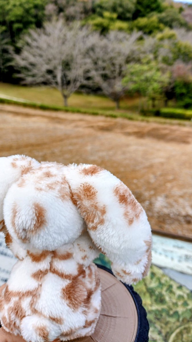 nao🫠個展の余韻が長い (@ysim138) / Posts / X