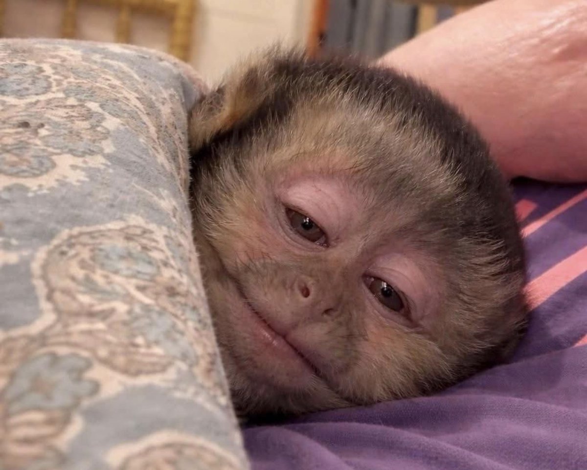 Guarromantico_'s tweet image. Mis propósitos para este año/ “Empezar a hacer ejercicio”

Yo el 1,2,3,4,5,6,7, 8, 9 de enero: