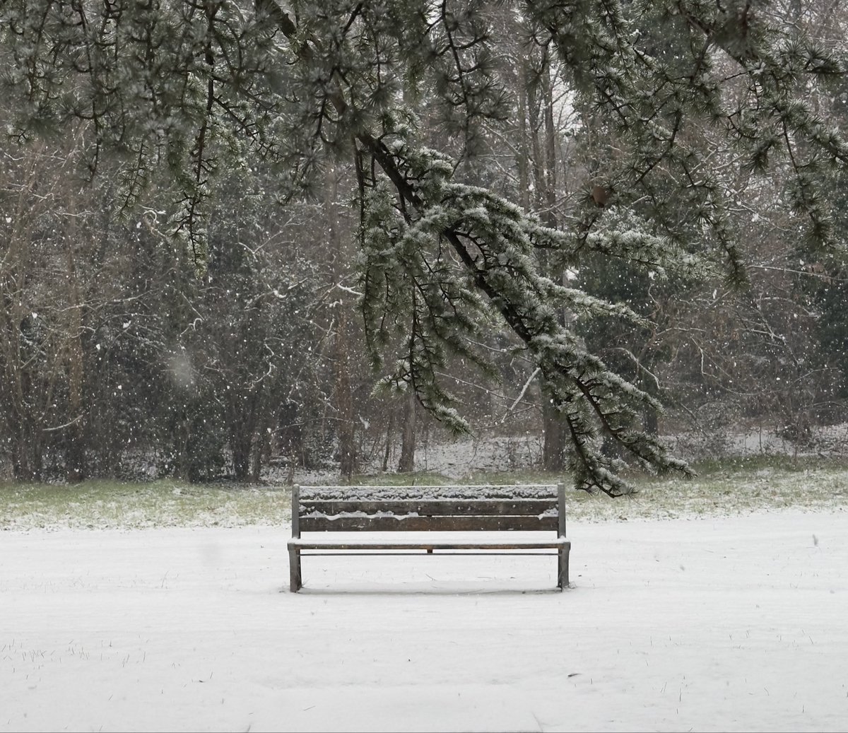 4haniki's tweet photo. i <3 snow https://t.co/VO7xWwz5h0