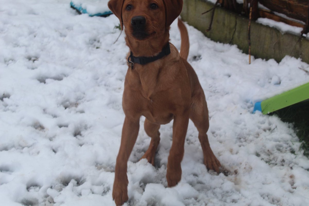 First proper snow day❄️❄️❤️❤️