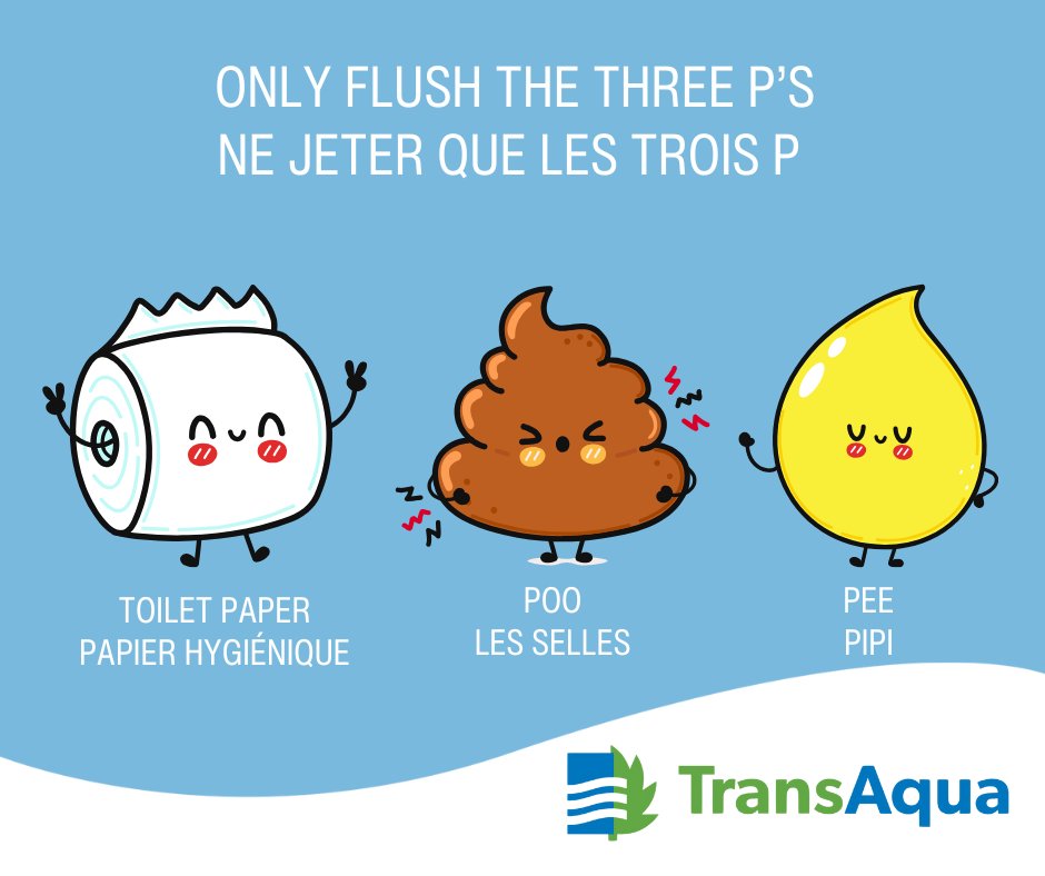 Ce n'est pas parce qu'un produit est étiqueté « jetable » qu'il doit être jeté dans les toilettes. Contribuez à garder nos canalisations municipales propres et en bon état de fonctionnement en vous souvenant des trois mots :
✅ Pipi
✅ Caca
✅ Papier toilette
