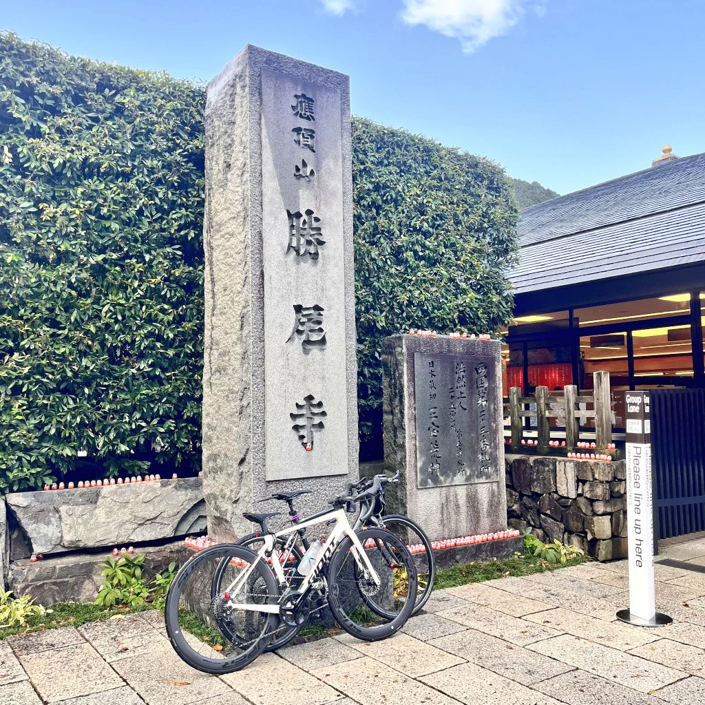 本日中に売り切ります❗️早い者勝ち！ リッチー」のYahoo!リアルタイム検索 - X（旧Twitter）をリアルタイム検索