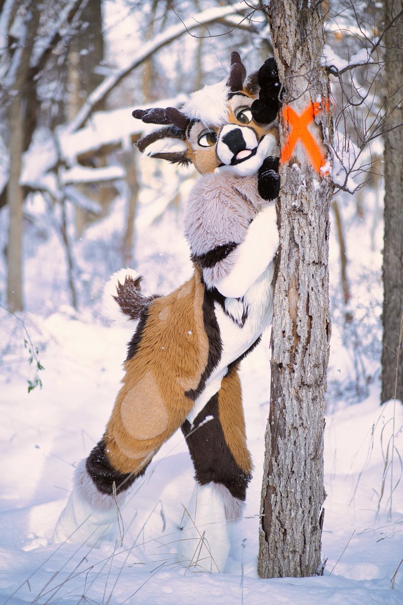 Bleat_Deer's tweet image. X marks the spot 
#FursuitFriday 
📸@kealianwolf