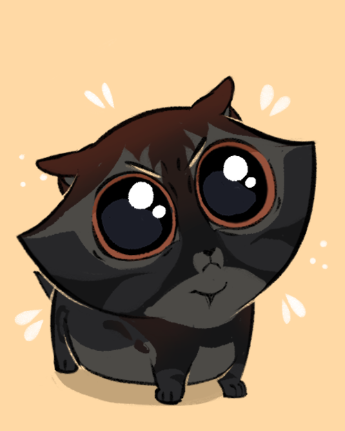 🔅Bean tweet media