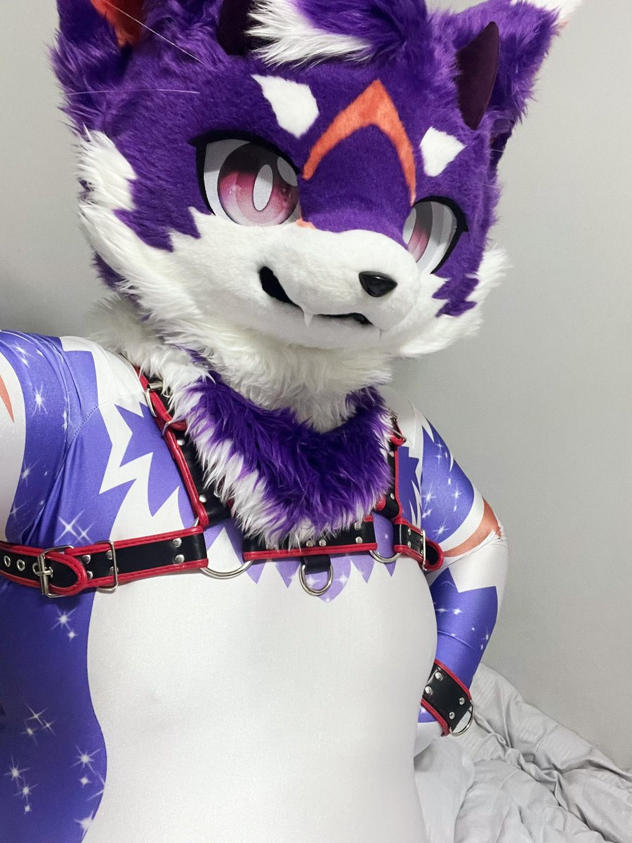 喵喵龙 tweet media