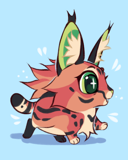 🔅Bean tweet media