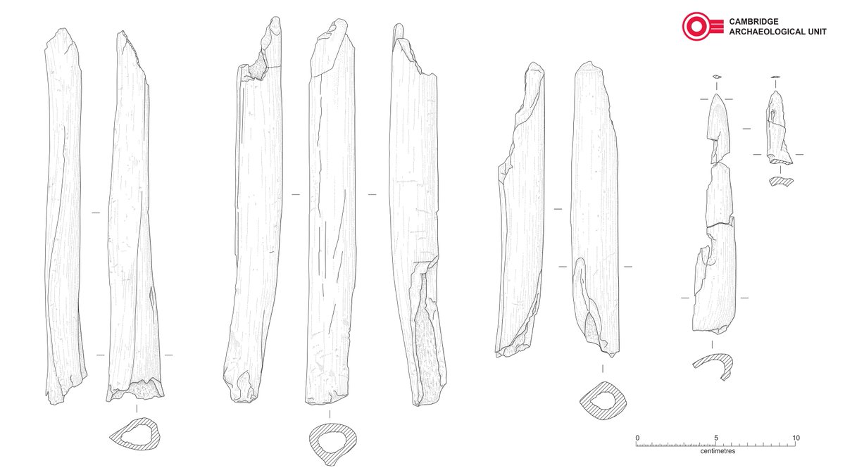 Cambridge Archaeological Unit tweet media