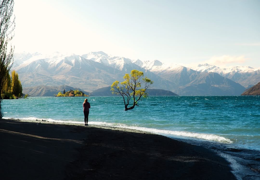 Butterflless's tweet image. 