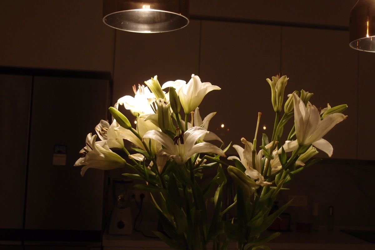 Lily ✮⋆˙ tweet media