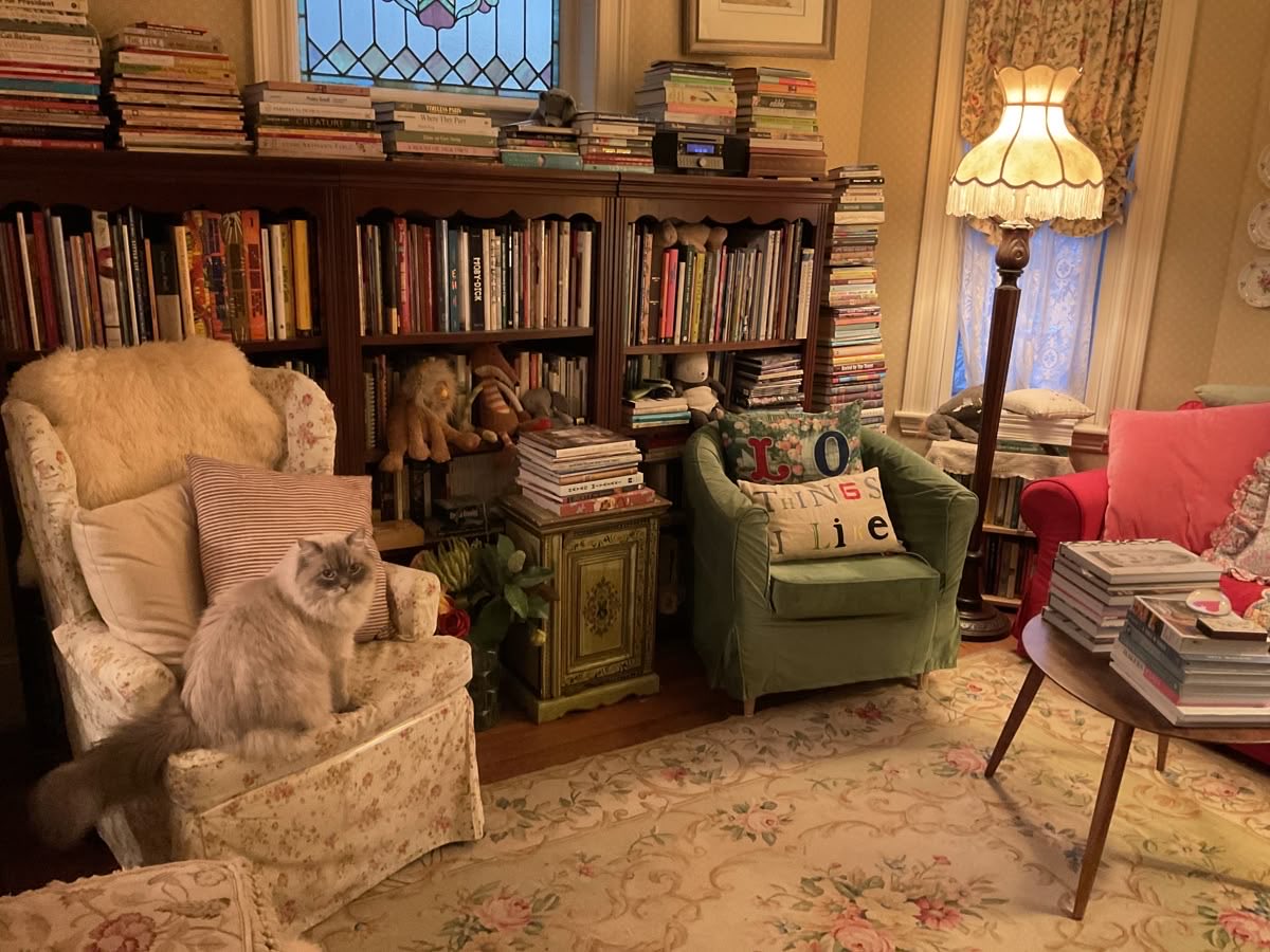 Lily ✮⋆˙ tweet media