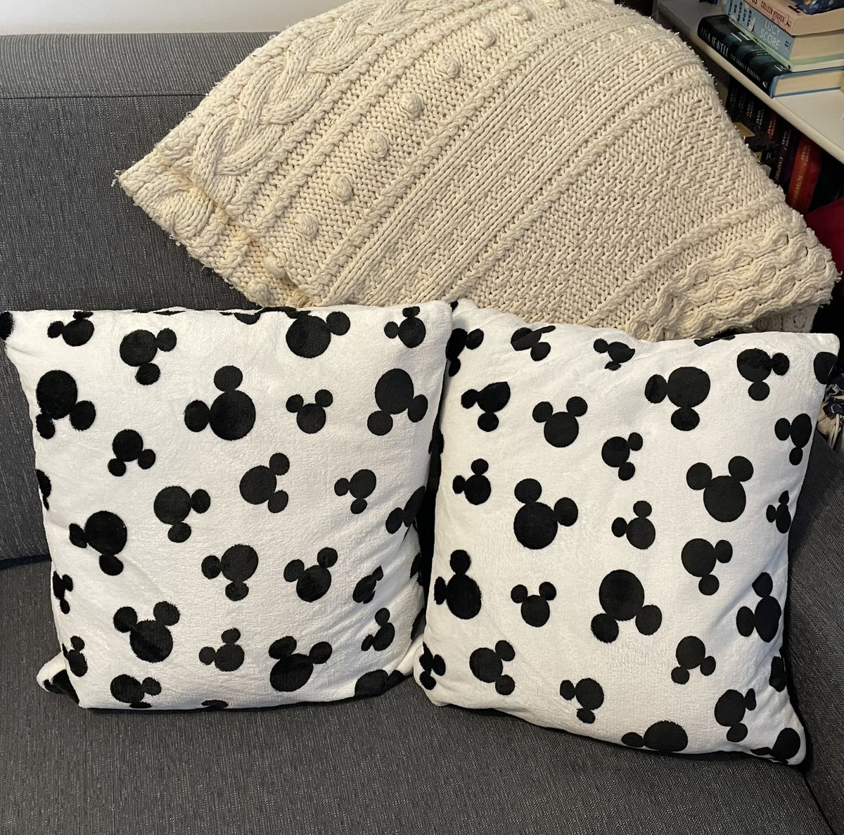 My Disney Stuff: Mickey Mouse Throw Pillows

Another Christmas present from my wonderful wife.

The blanket in the background is the Irish cable knit afghan my mother knitted for me many years ago.