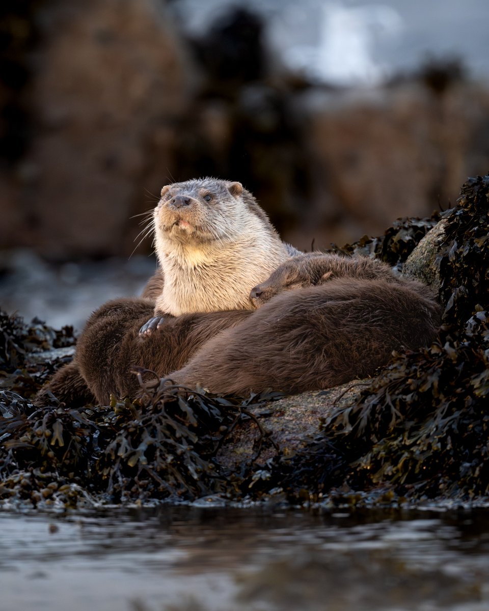 Richard Shucksmith tweet media