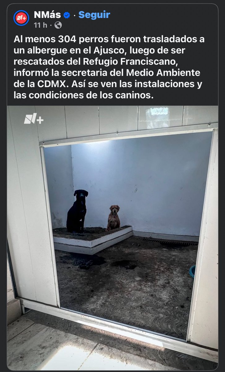 Escuadrón Salchicha tweet media