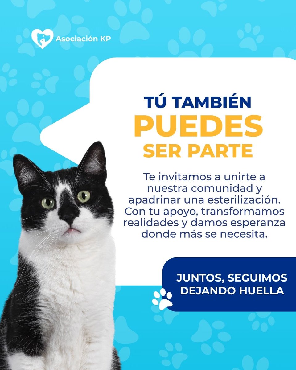 Gracias por hacerlo posible 🐶🐱

Gracias al apoyo de personas de gran corazón, logramos cubrir la esterilización de 2 gatitos y 3 perritos en Pamplona Alta – San Juan de Miraflores.
 Cada esterilización representa una vida más protegida y un paso firme para reducir el abandono.