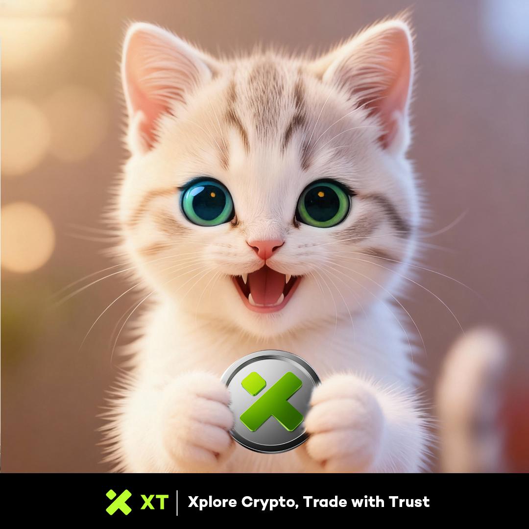 XT Africa tweet media