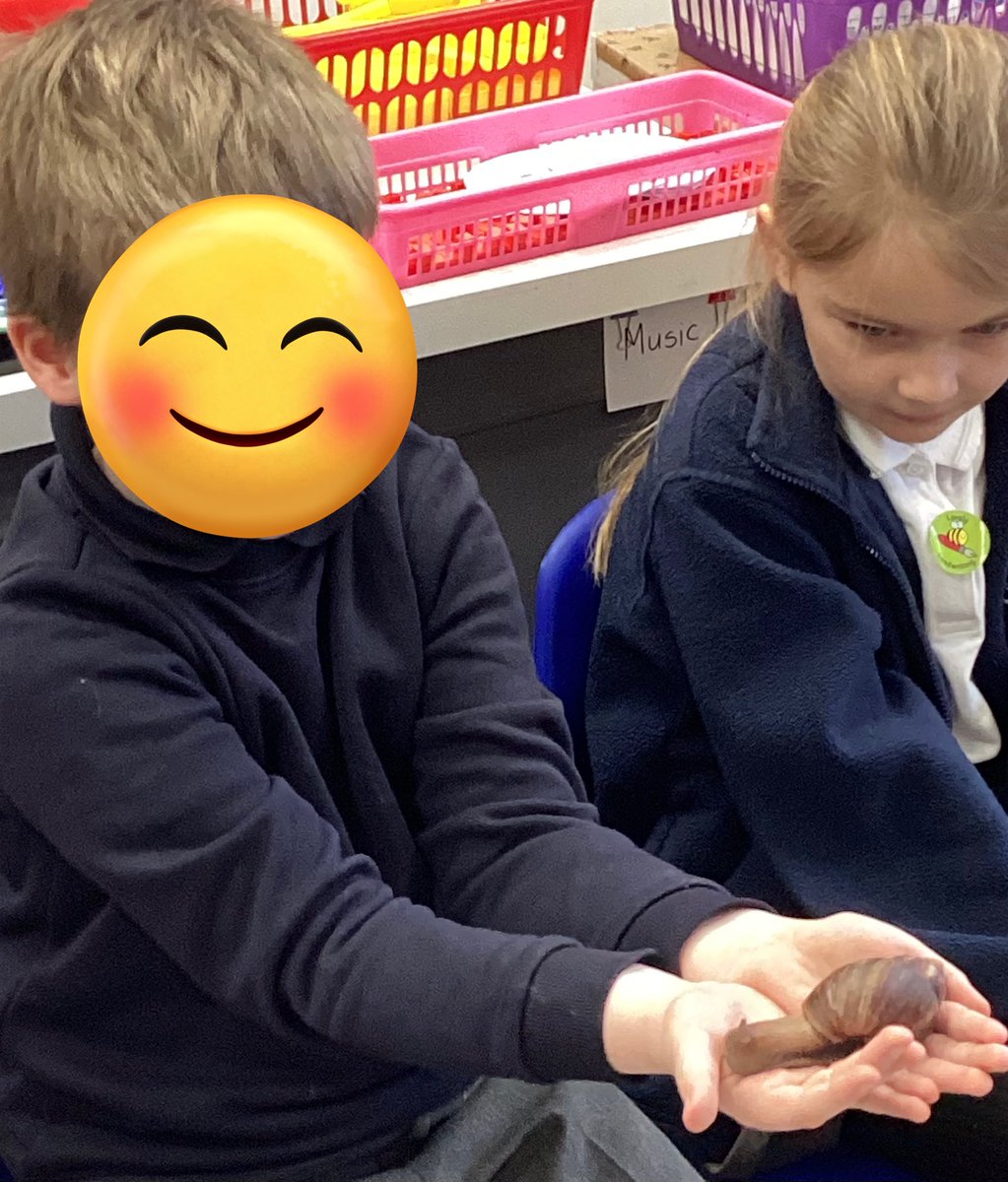 Year 3 and 4 enjoyed a fantastic visit from The Wild Roadshow.