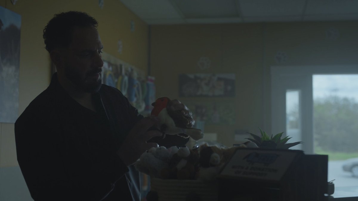 Anouk ❄ tweet media