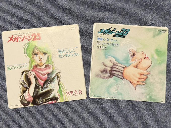 買ってきたものたち