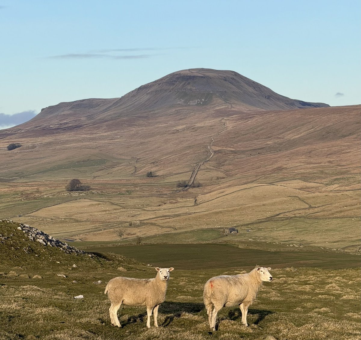 Pen y Ghent, from above Little Stainforth, with Long Lane and the path to the top just visible