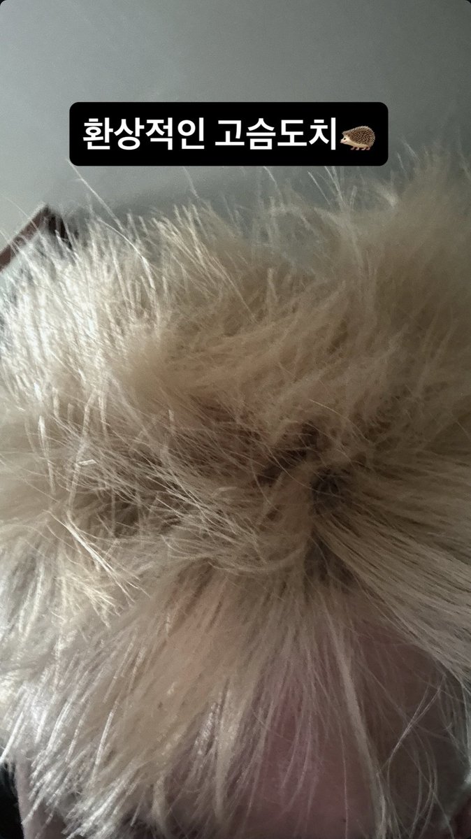 [260109] #one (@.k_oonnee) instagram update 

a fantastic hedgehog🦔

#NOMAD #노매드 #원