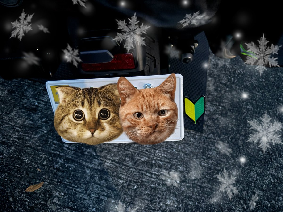 可愛くてオシャレでカッコいい！ 買うべき大人の夏スニーカー】おしゃれすぎる！ アディダス×リーボック