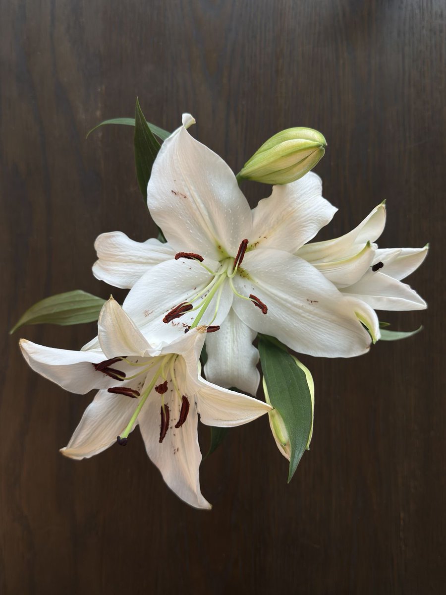 1leio's tweet image. 