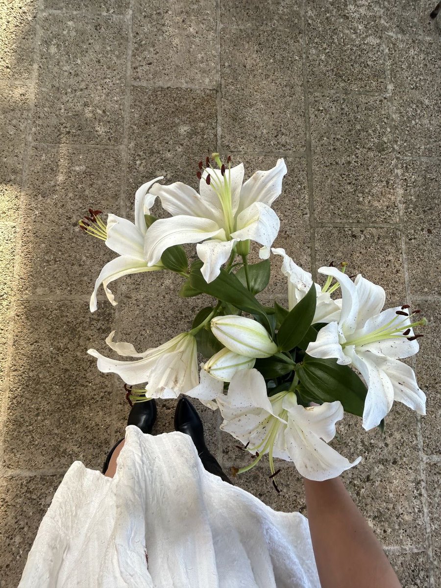 1leio's tweet image. 