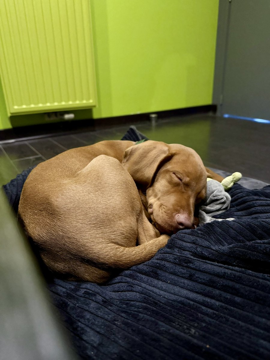 Peaceful Friday ✌️