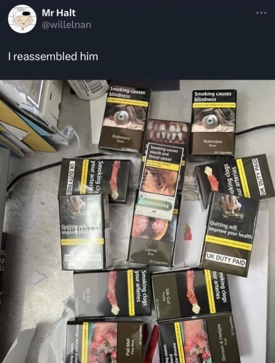 tragicbirdapp's tweet image. 