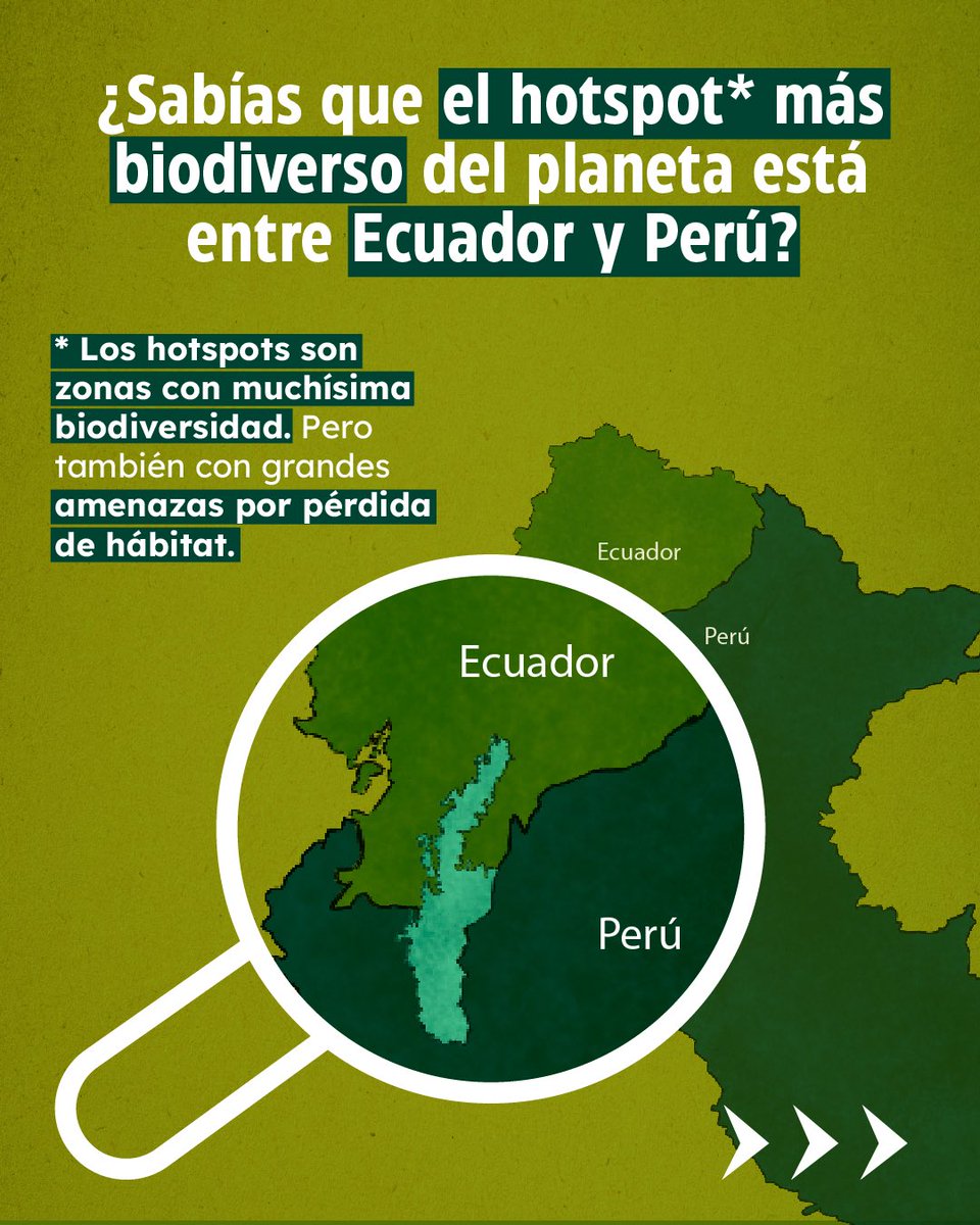 Plan Binacional Capítulo Ecuador tweet media