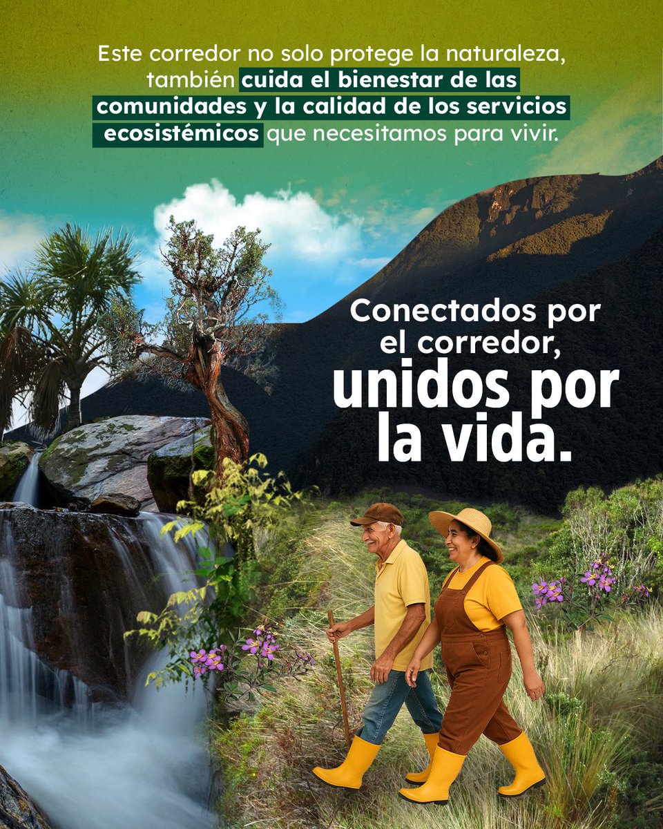 Plan Binacional Capítulo Ecuador tweet media