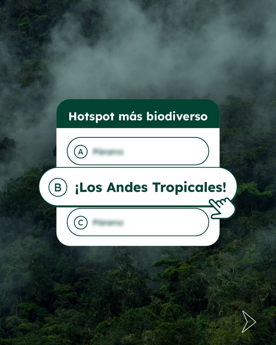 Plan Binacional Capítulo Ecuador tweet media