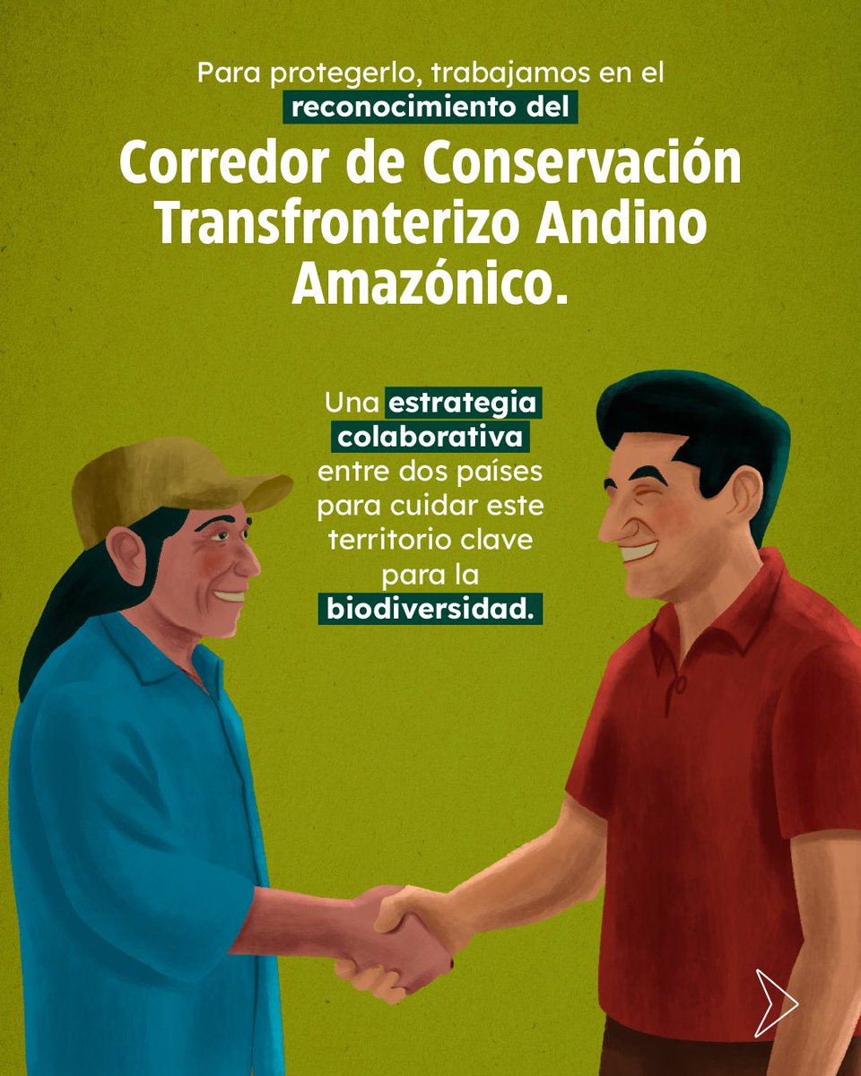 Plan Binacional Capítulo Ecuador tweet media