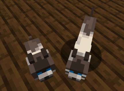 harristic_'s tweet image. the size error and baby cats sticking their tails up while adults dont makes me think adult cats will see some notable changes