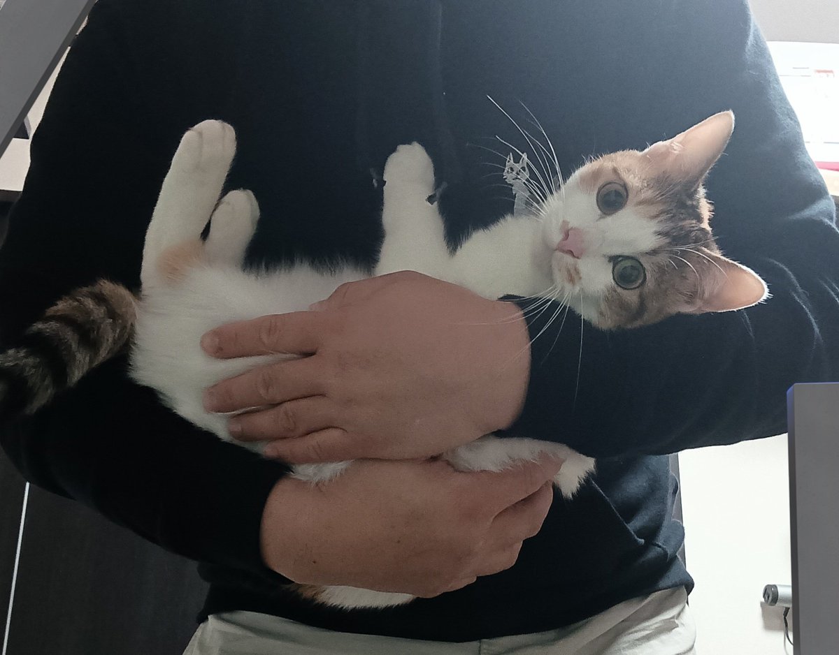 hizo＠食堂のおばちゃん (@hizohizo) / Posts / X