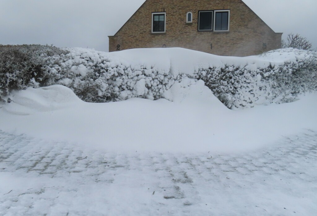 ➡️ Robert de Vries tweet media