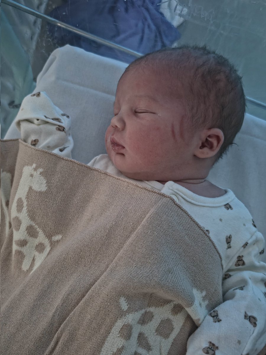 Dan - GroundedTech tweet media