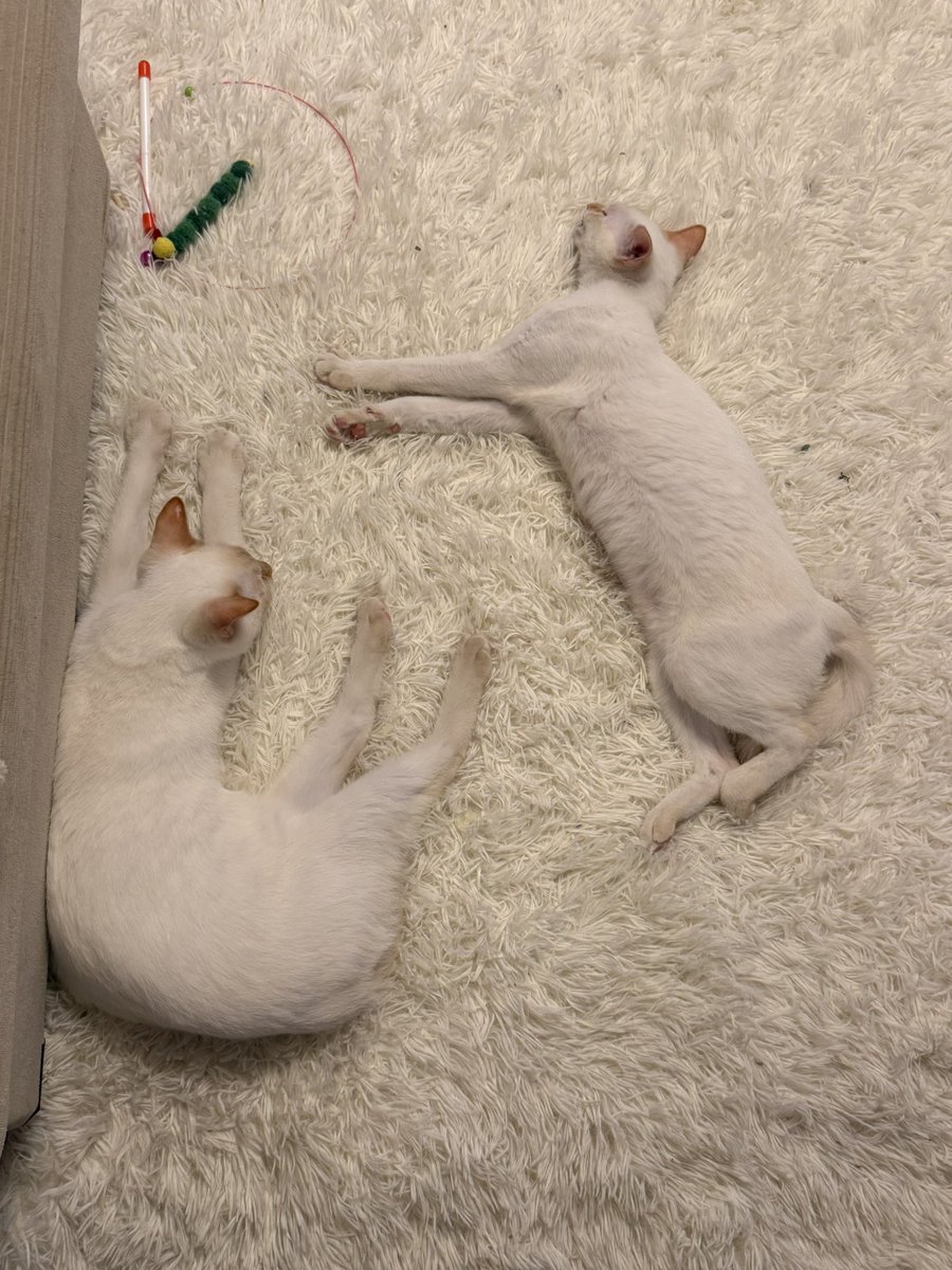 PUMAさん！うち！できます！次回モデルよろしくお願いします！