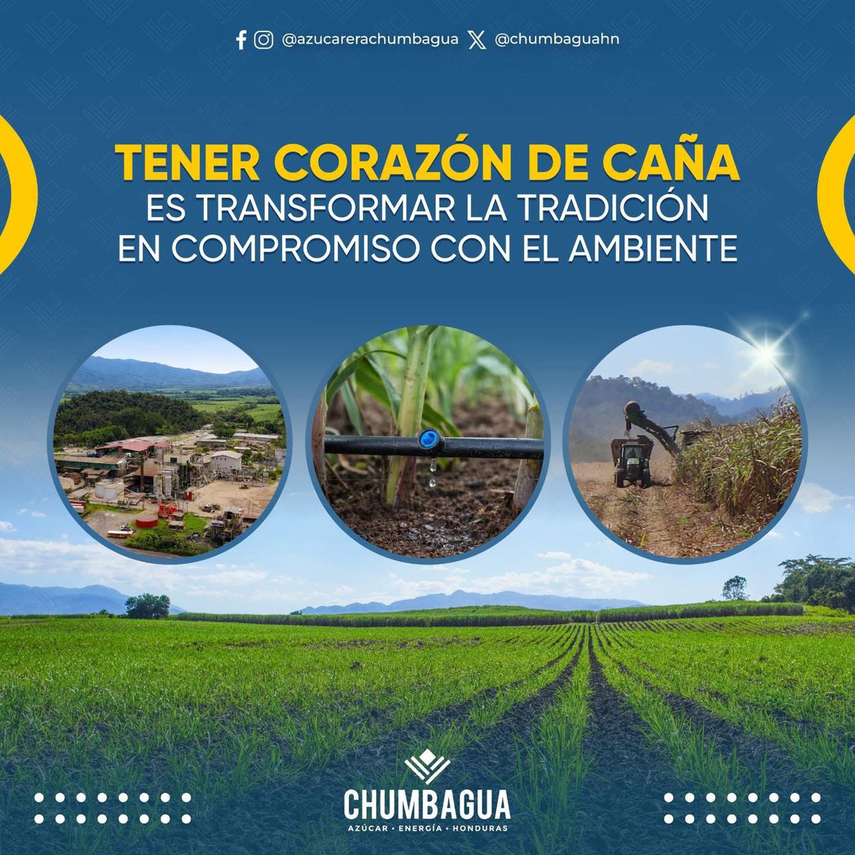 Chumbaguahn's tweet photo. 🍃El éxito se construye con manos trabajadoras y sueños compartidos. En nuestra azucarera, el empleo es sinónimo de progreso cuidando nuestra materia prima la tierra. 🌎 👩🏻🧔🏻‍♂️ https://t.co/ftY171pLy1